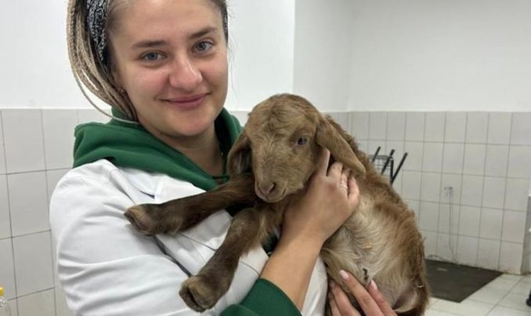    Фото: Саратовский ГУ генетики, биотехнологии и инженерии имени Н.И. Вавилова