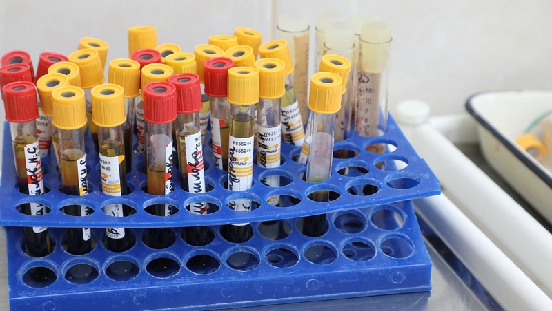      Фото: Дмитрий Ахмадуллин / / ИА «Победа26»