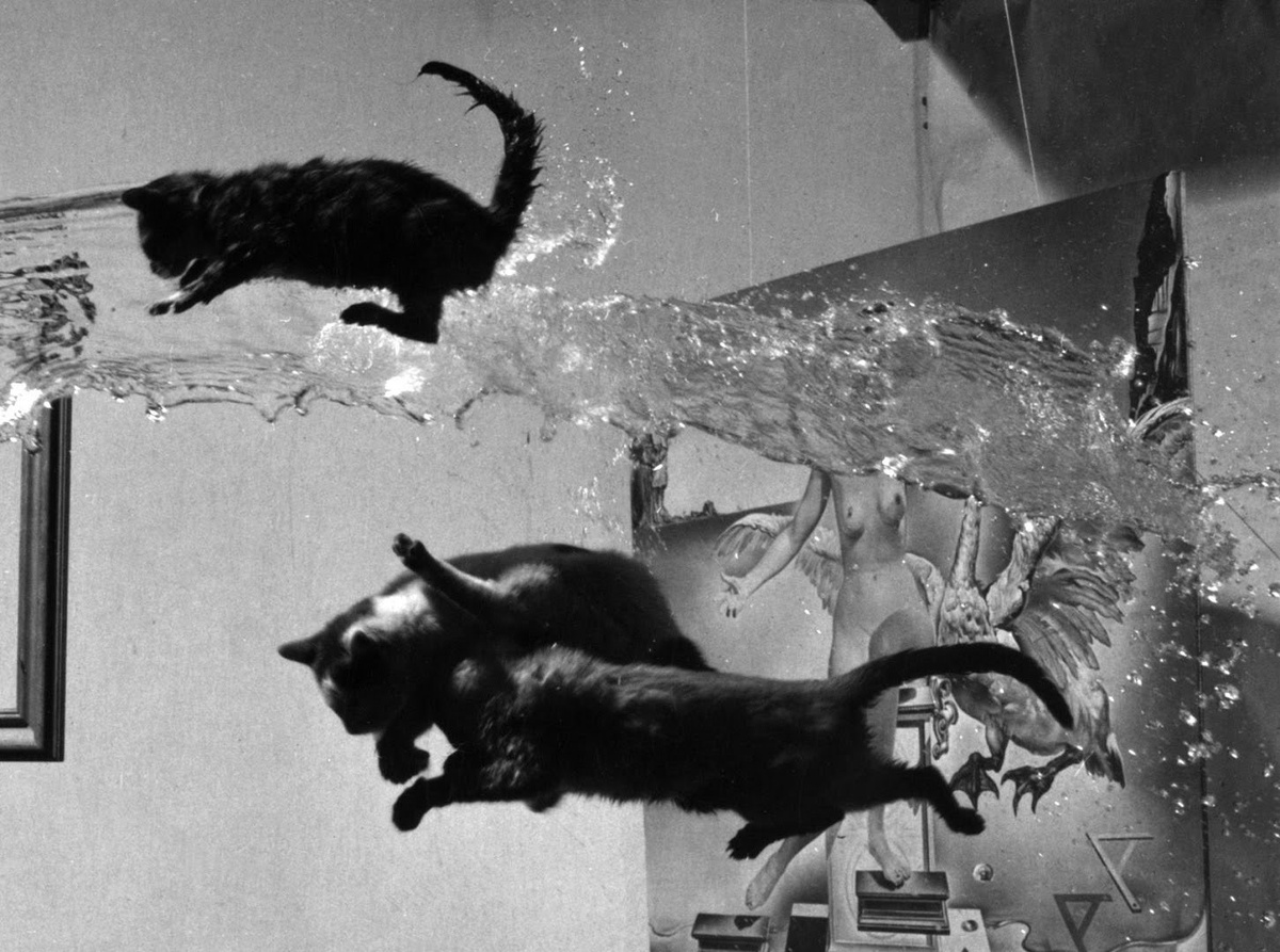 Дали Атомикус. Фрагмент