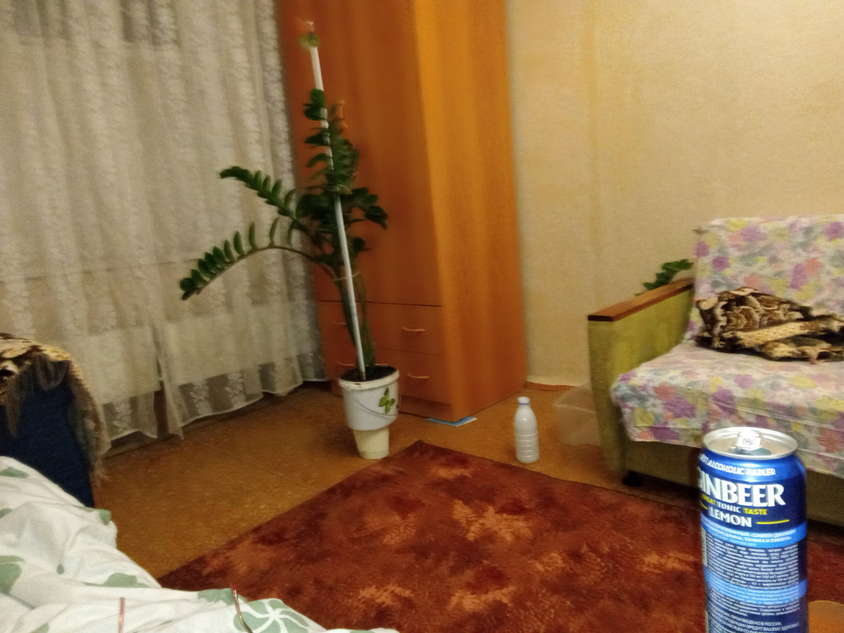 Статья была на канале про поездку до этого: "Замиокулькасу не наливать". Он еще жив