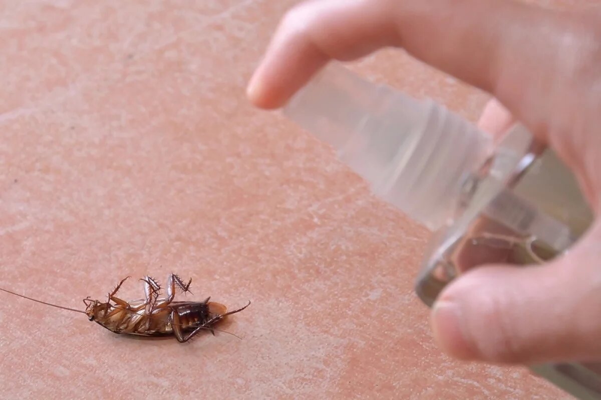    В Самаре прокуратура проверит колледж из-за жалоб на антисанитарию