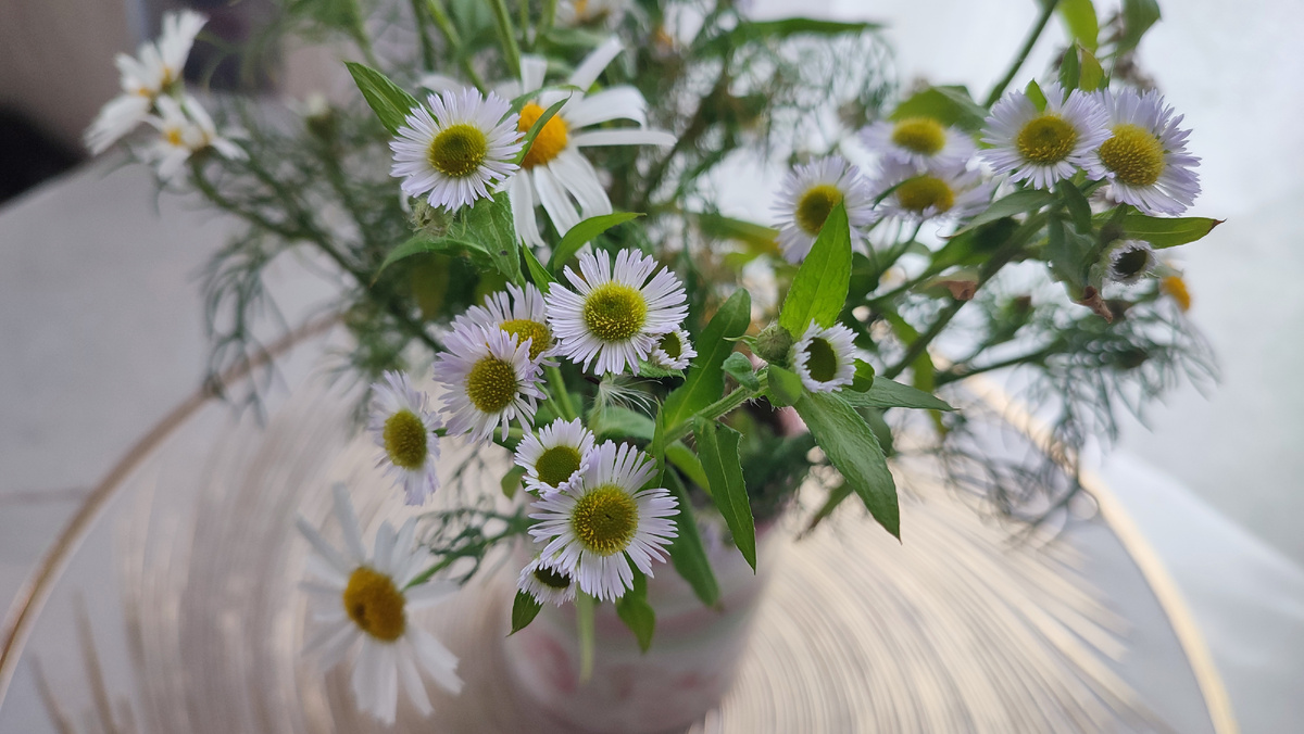 А это все ещё меня радует букет полевых цветов