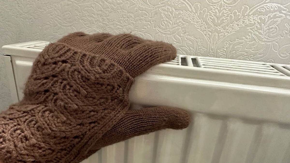    Фото: телеканал «Краснодар»