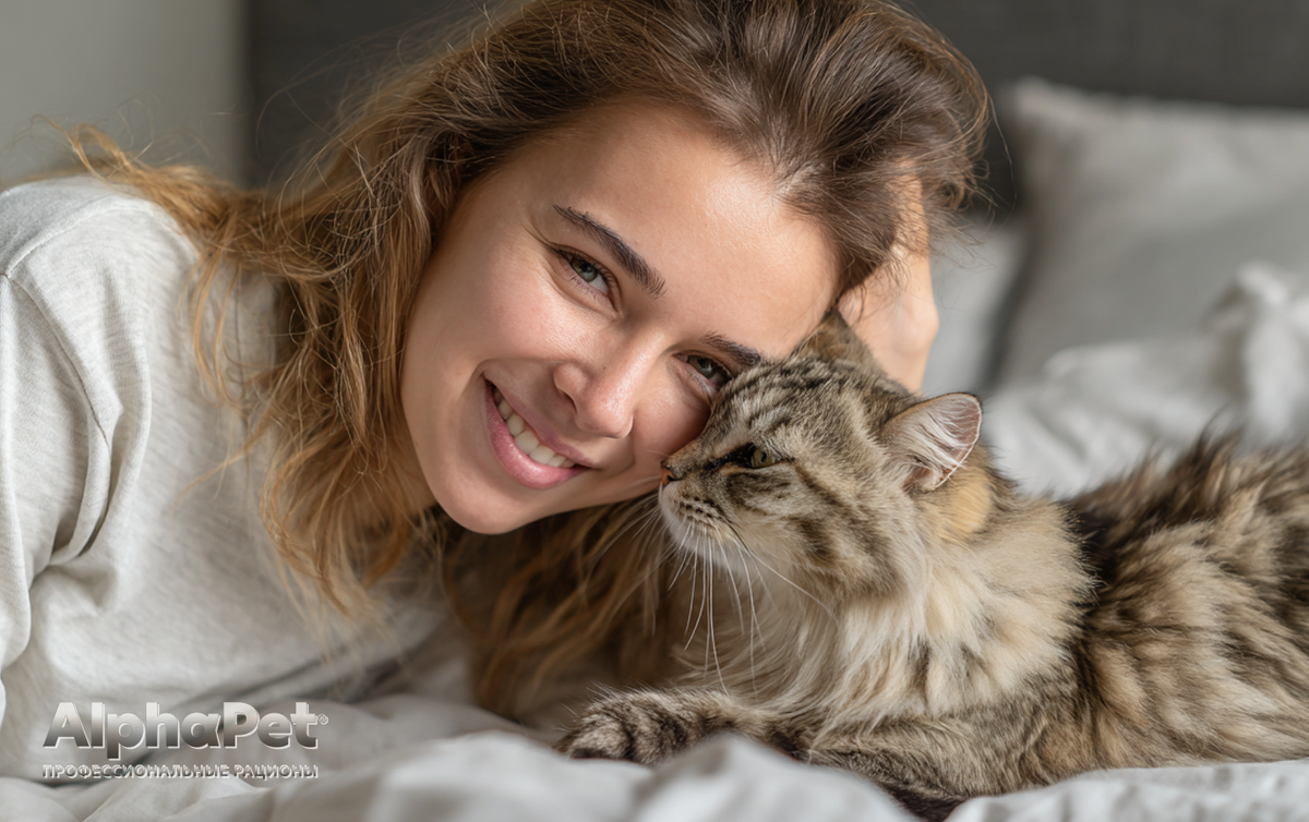 Язык запахов: как кошка «метит» своего человека / Изображение: AlphaPet
