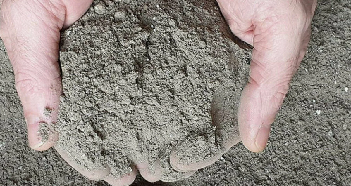 древесная зола