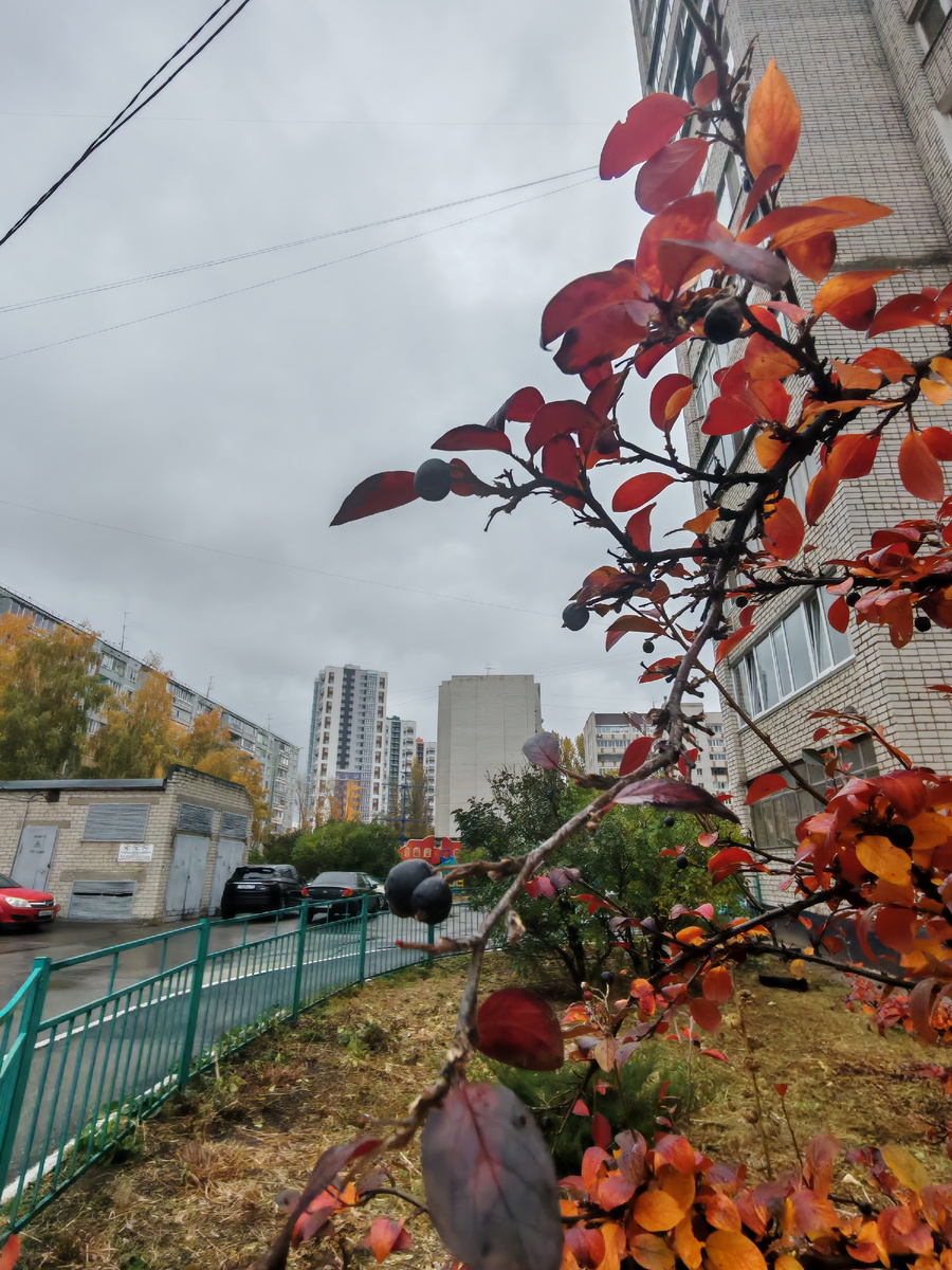 Фото автора. 