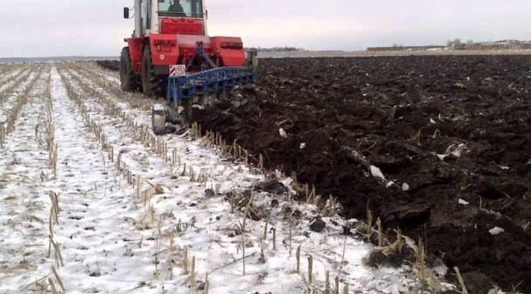    Фото: ФГБУ «Россельхозцентр» по Иркутской области