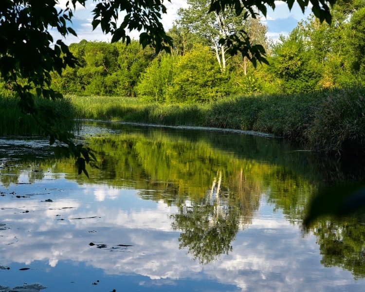     В России стартует XXIII конкурс «Национальная экологическая премия имени В.И. Вернадского»