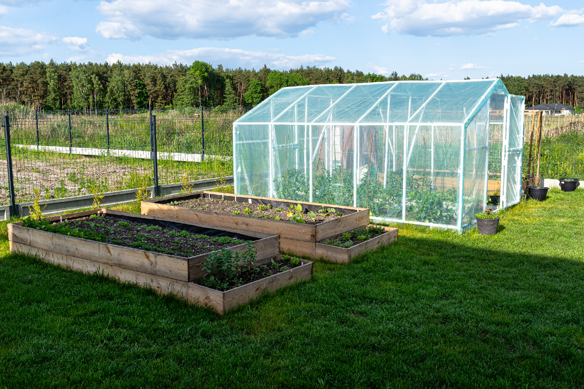 Теплица на садовом участке
