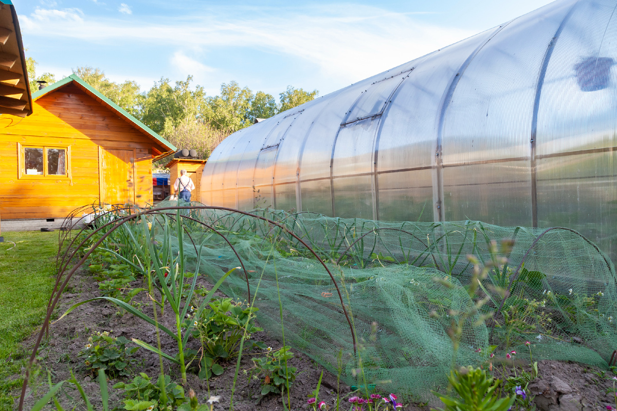 Теплица на южной стороне участка