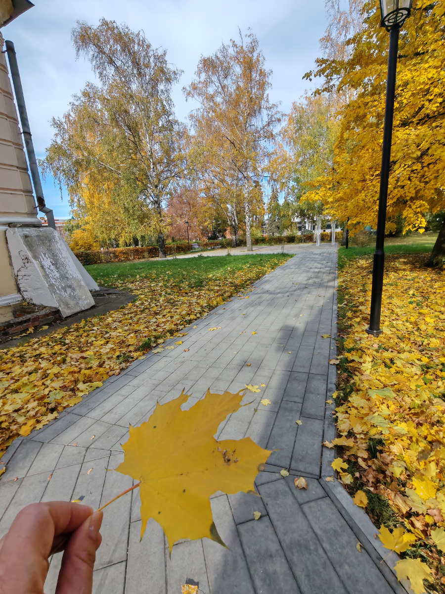 Сквер Языкова г. Ульяновск. Фото автора