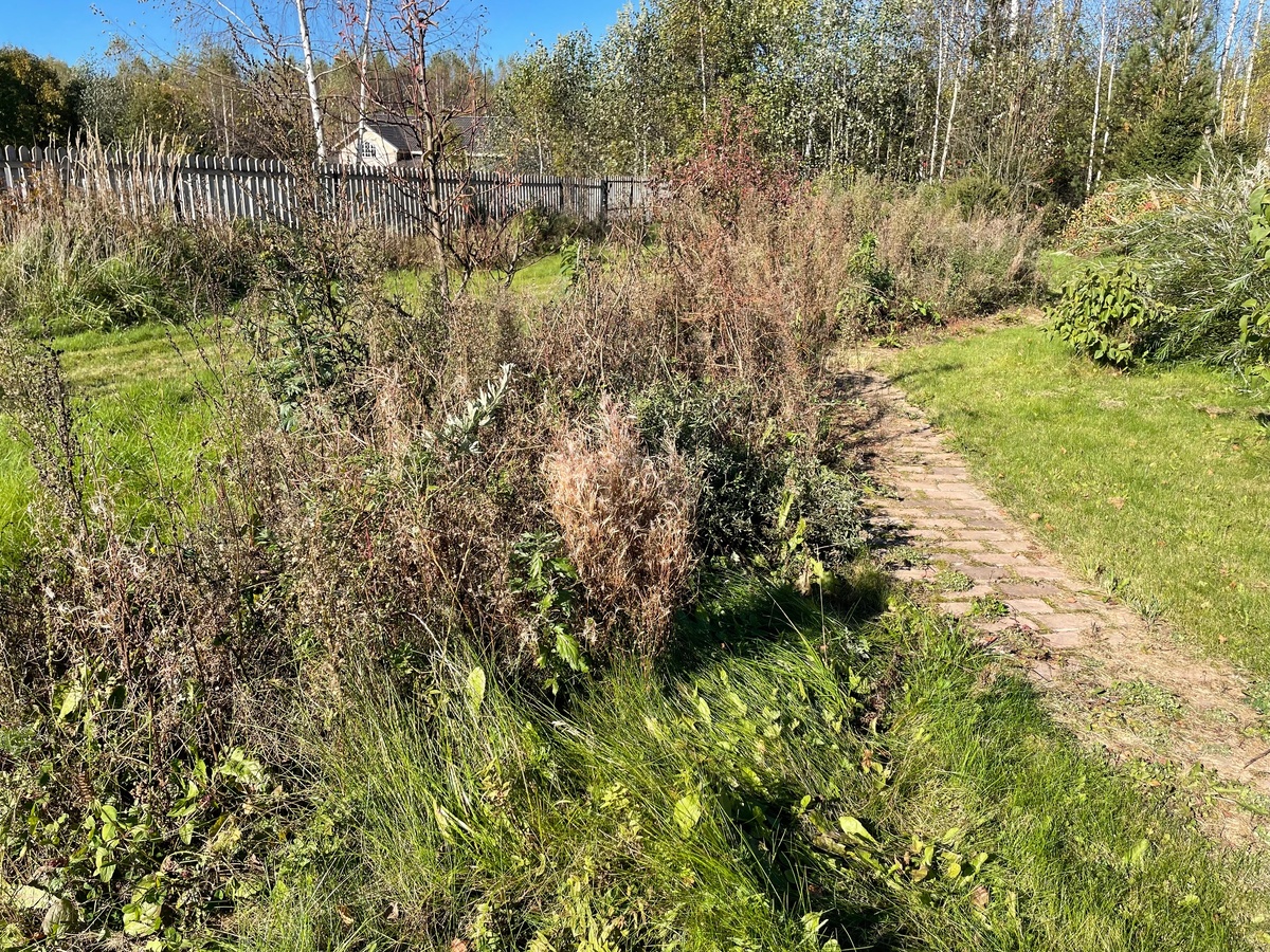 Настоящий цветник в природном стиле