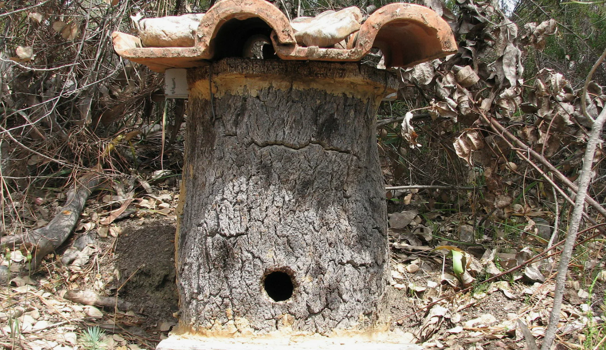 Домик для диких пчёл и жужелиц