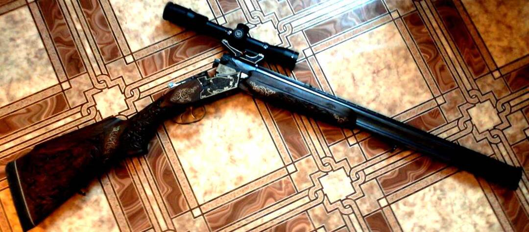 Зачем охотнику два ствола: История легендарного ТОЗ-55 "Зубр"