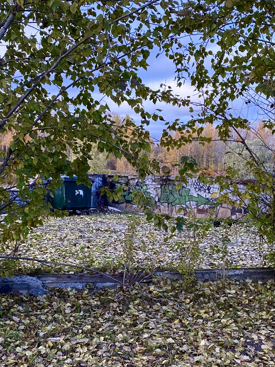 Благоустройство Зарецкого парка. Петрозаводск. Фото автора.