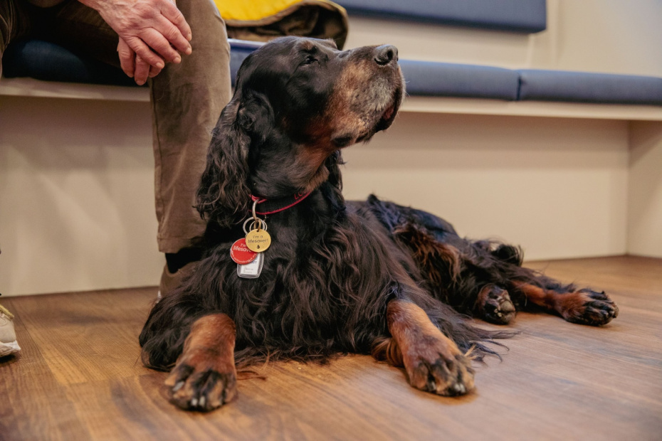    Cover Images/Keystone Press Agency/Global Look Press