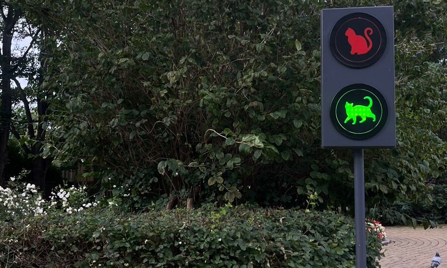 6 дней в самом европейском регионе России. Калининградская область - Часть II