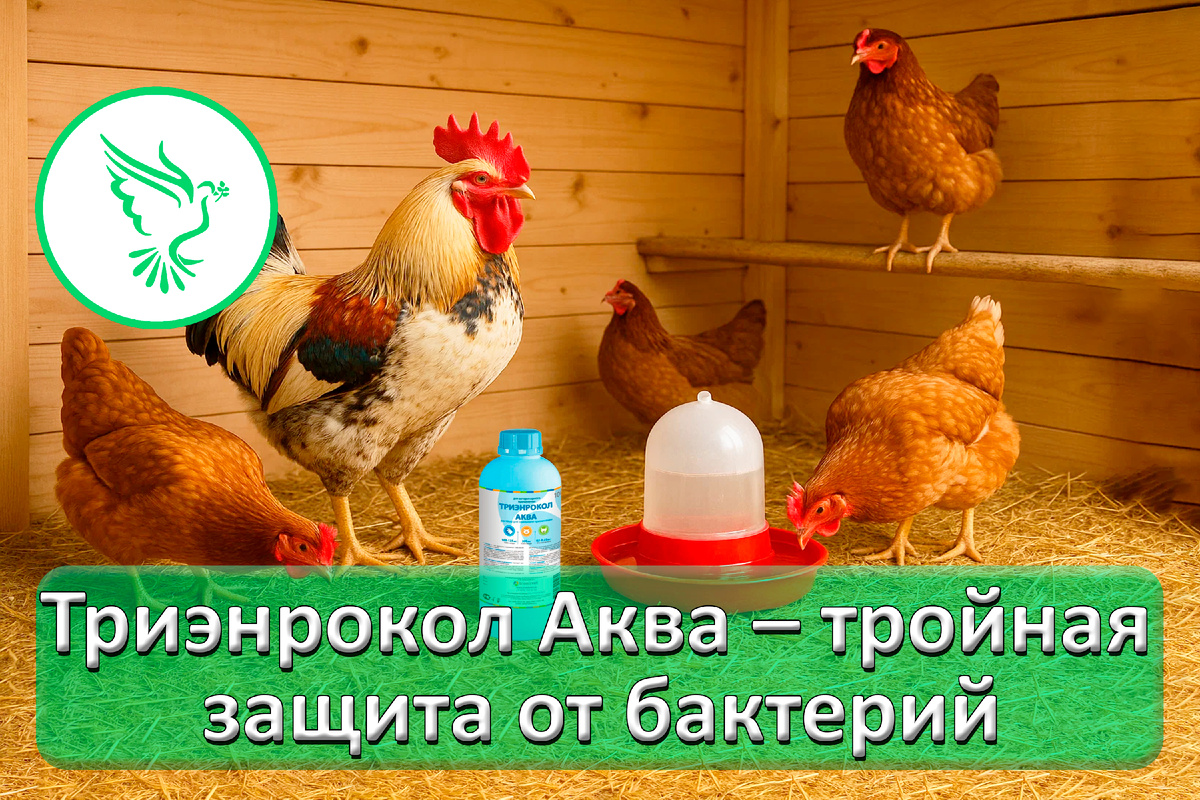 Триэнрокол Аква – энрофлоксацин, триметоприм и колистин