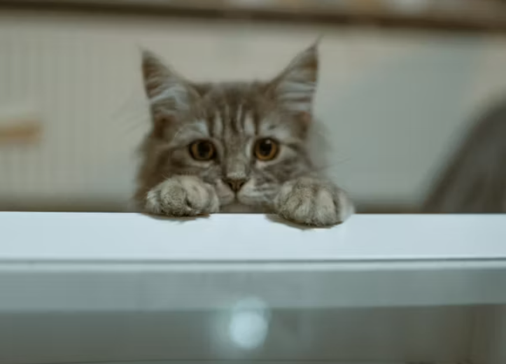 Ждет свою очередь 