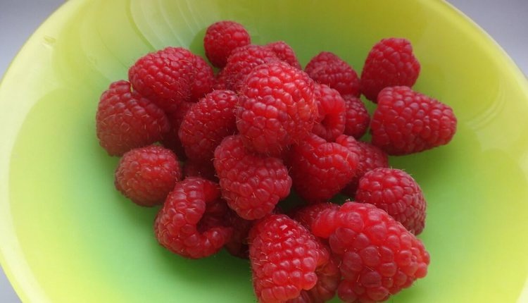    Фото: Лукьянов Дмитрий, AgroXXI.ru