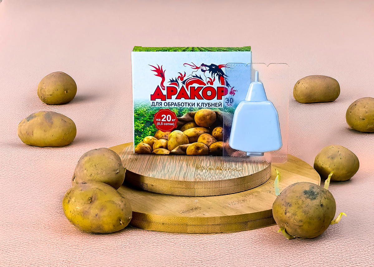    «Дракор» защитит картофель от вредителей