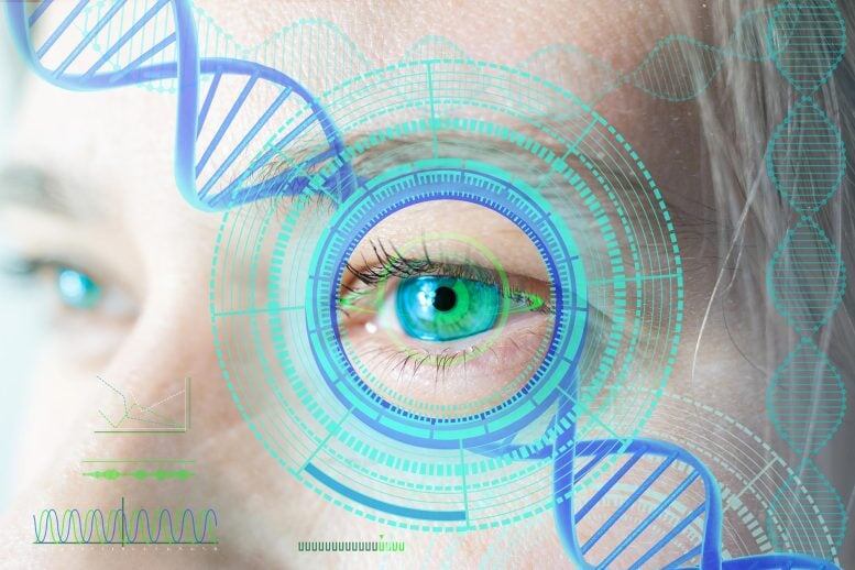Учёные нашли простой способ обратить возрастные изменения зрения
