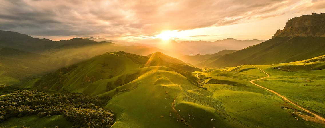 @Olga Gavrilova/Shutterstock