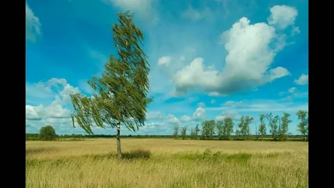 Из открытых источников Интернета