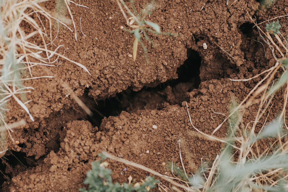 Супесчаный грунт