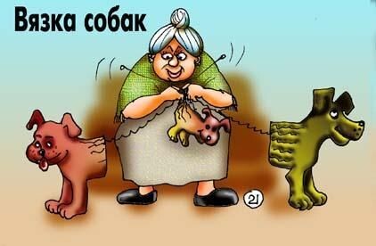 Фото из интернета