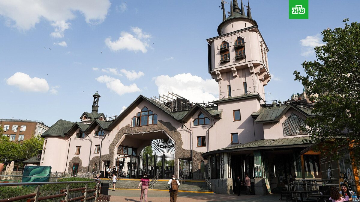    Фото: ТАСС