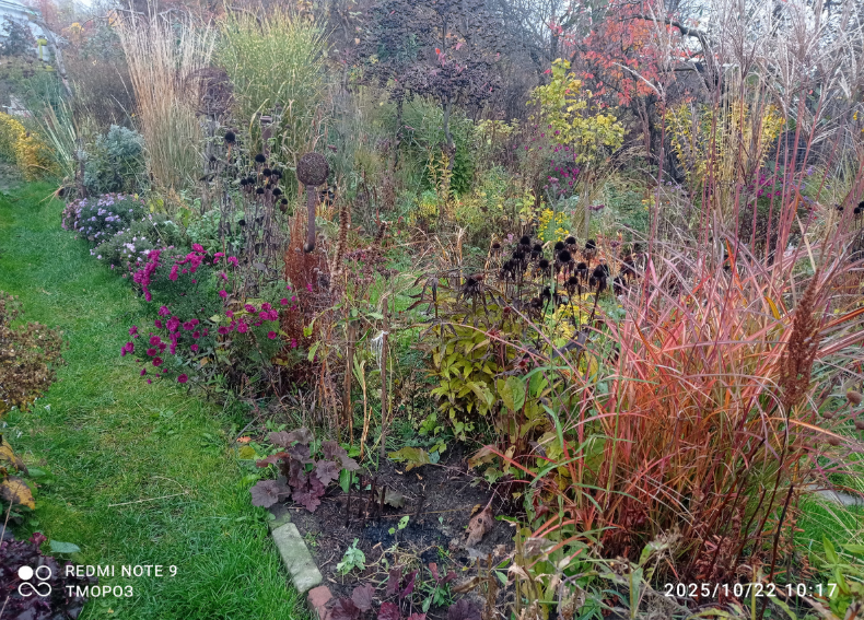 другой вид, непривычный