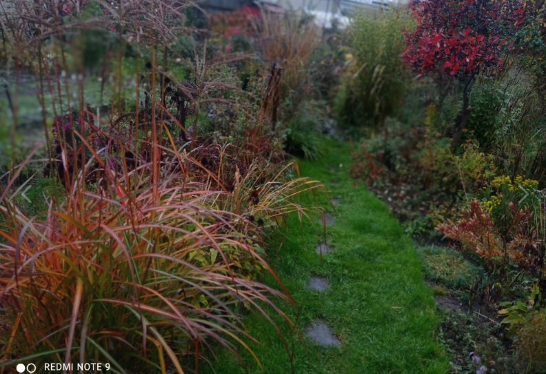 сдесь же, с другой дорожки