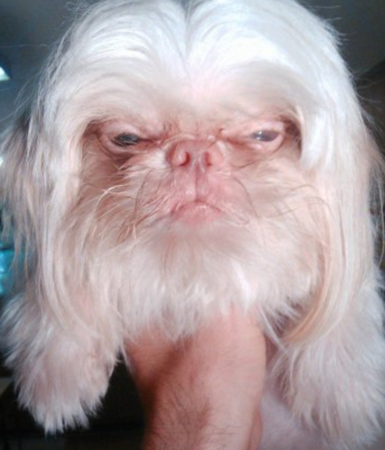 Из интернета