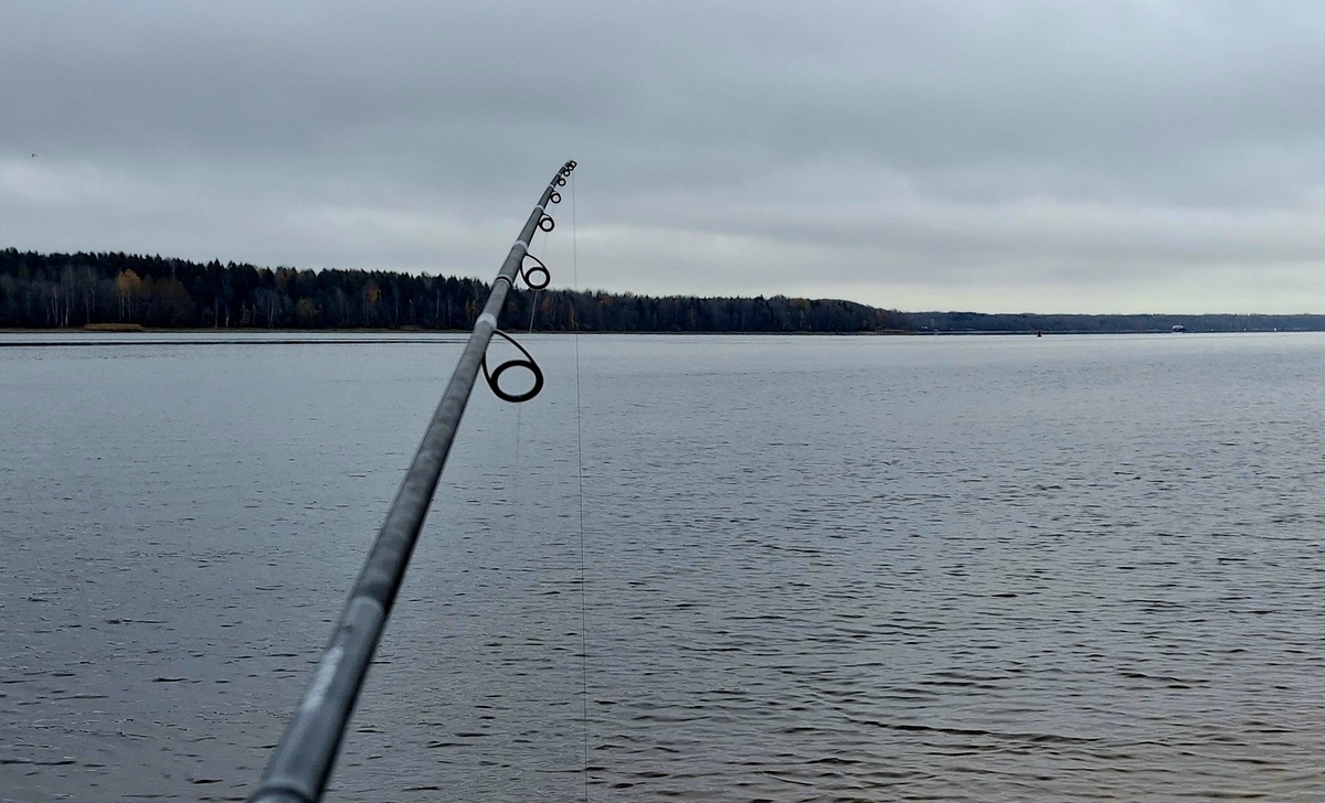 Река Шексна.