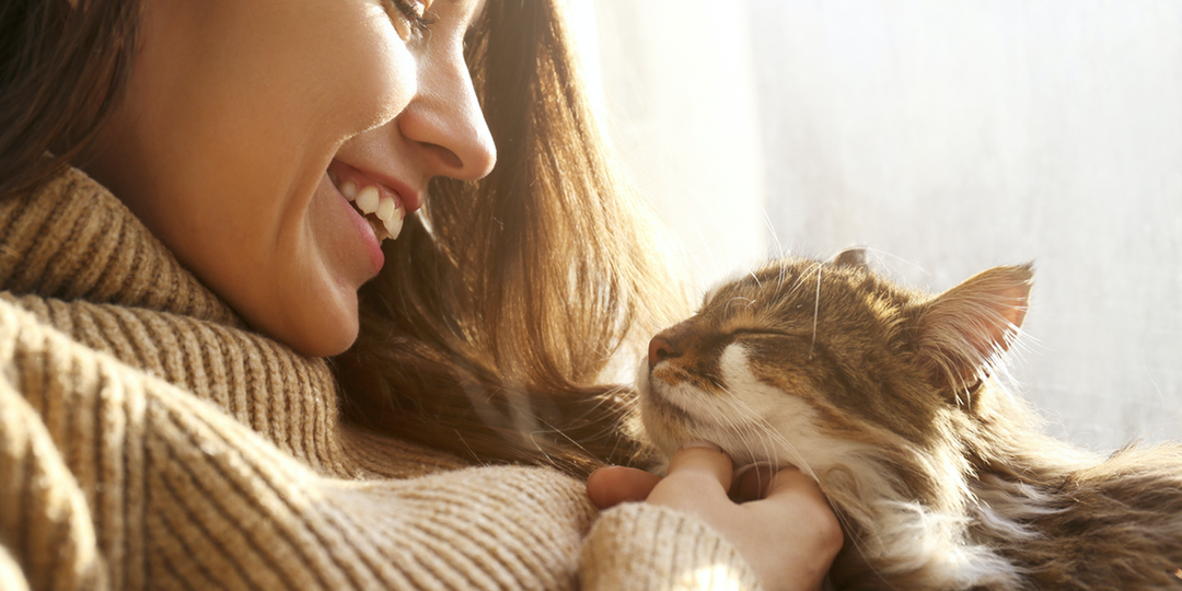 Ученые рассказали о секрете общения с кошками: простая техника, проверенная наукой