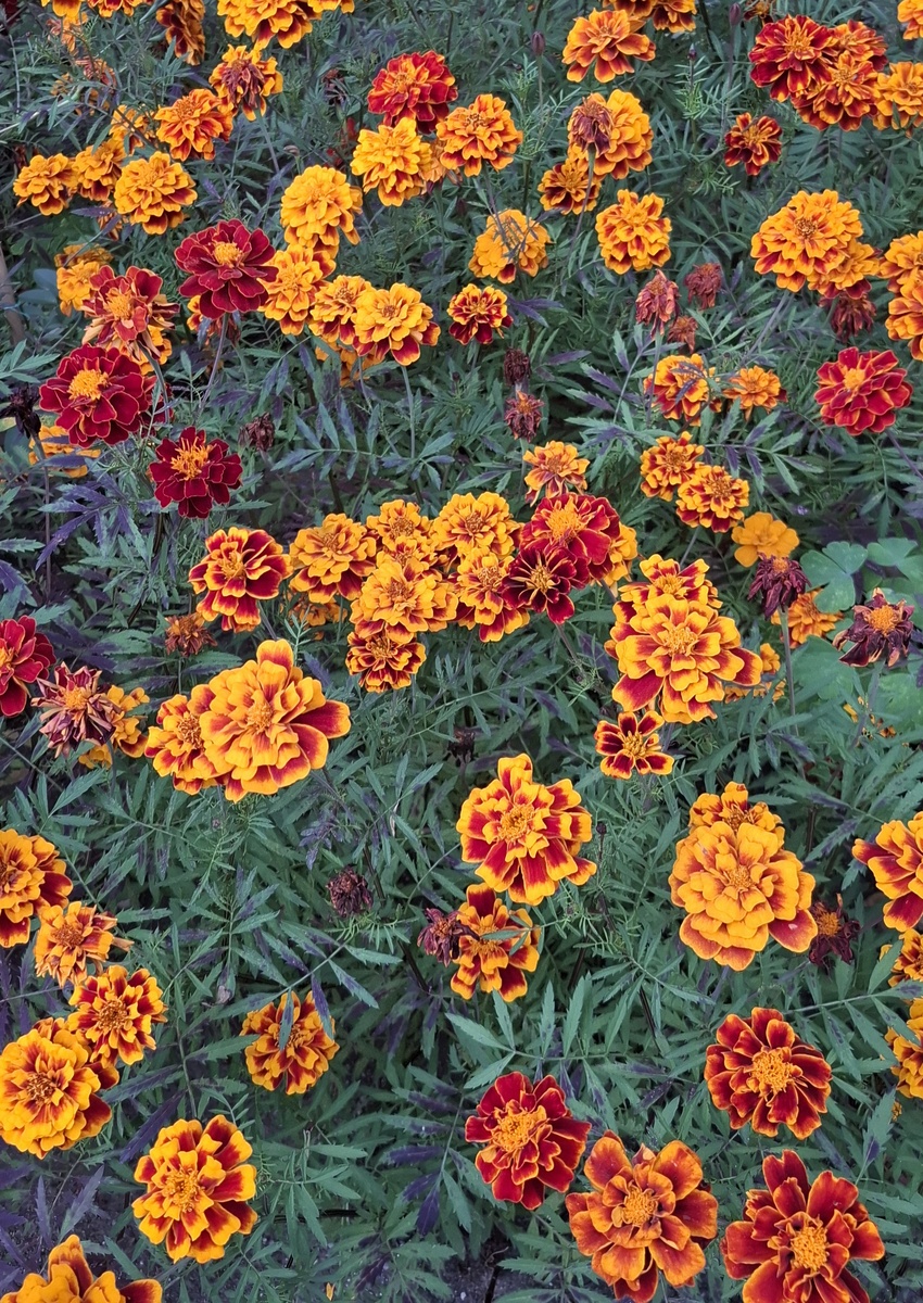 и всем, КТО НАС ЗАЩИЩАЛ И ЗАЩИЩАЕТ!