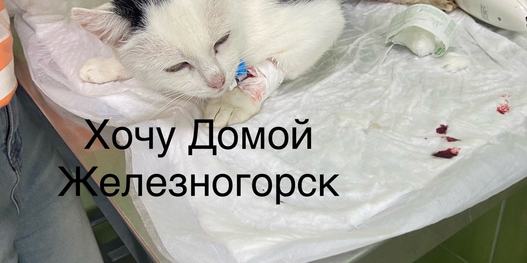 История Тинки, которая должна снова научиться ходить