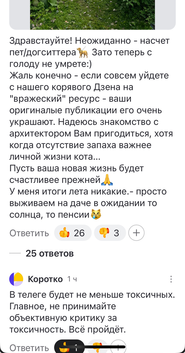 Здесь и далее скрины с комментариев под статьей канала «Сканди | Интерьер»
