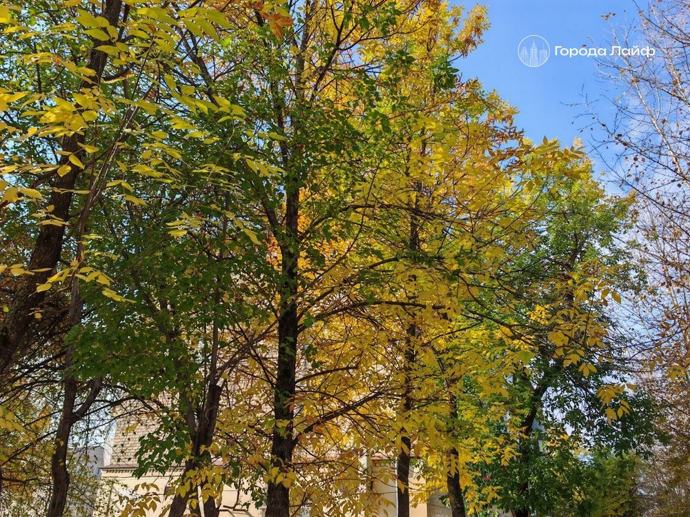     Фото: Города Лайф