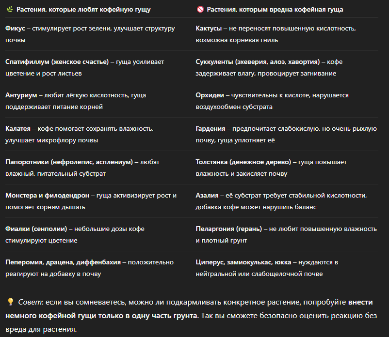 💡 Совет: если вы сомневаетесь, можно ли подкармливать конкретное растение, попробуйте внести немного кофейной гущи только в одну часть грунта. Так вы сможете безопасно оценить реакцию без вреда для растения.