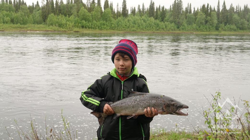  Автор фотографии: Андрей Сухов