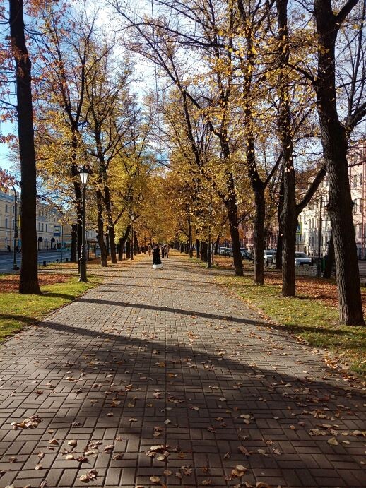 Конногвардейский бульвар - путь к особняку. Хороша золотая осень. Не правда ли?