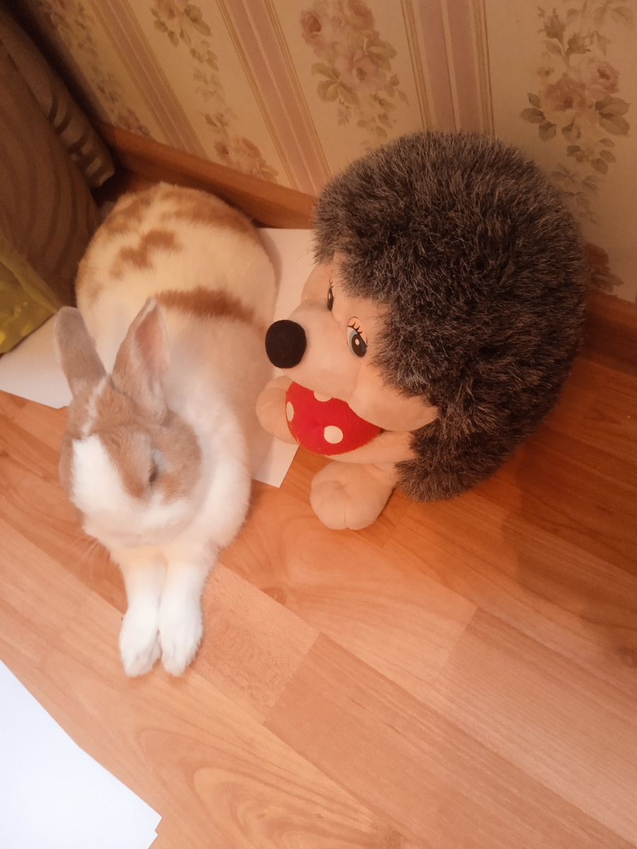 Блин Иванович с Ёжиком приветствуют вас! 