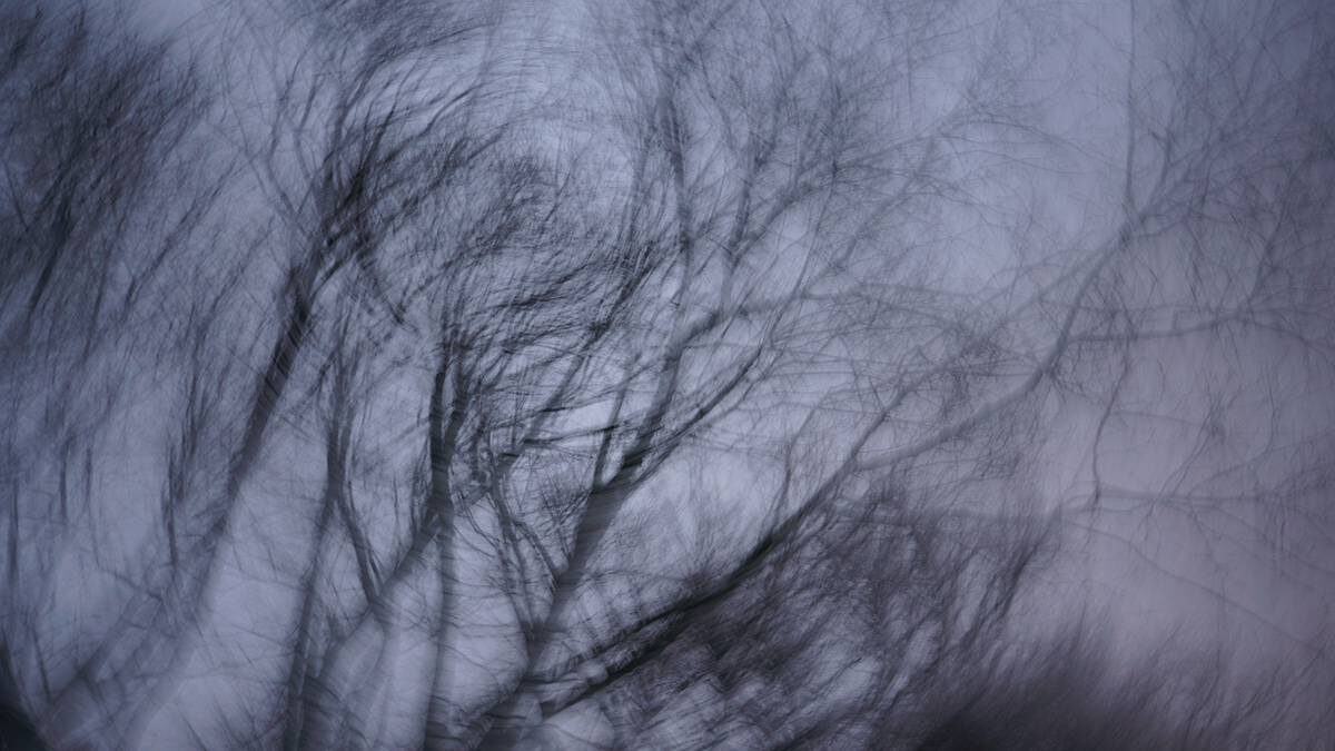    Фото: Анатолий Цымбалюк / Вечерняя Москва