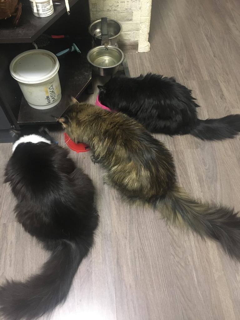 фото из личных архивов