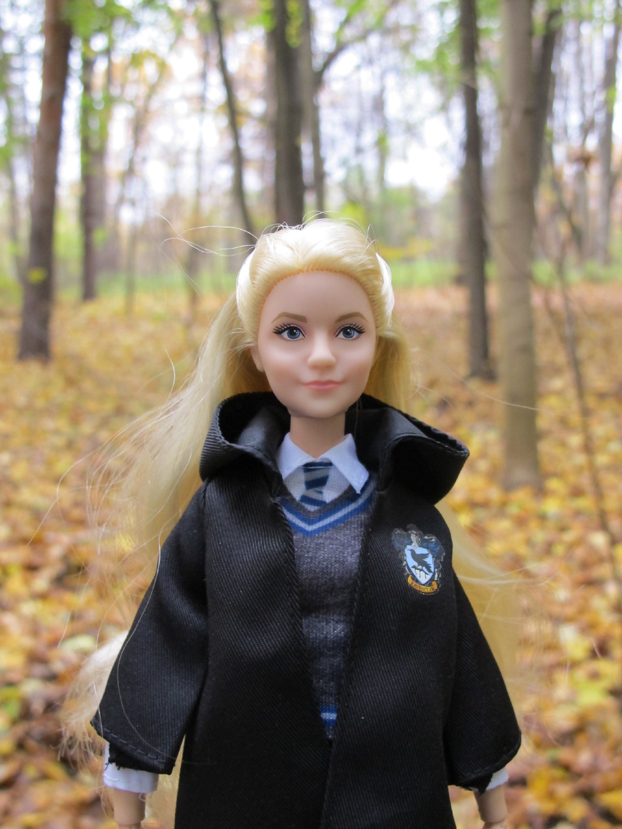 Здесь и далее фото автора