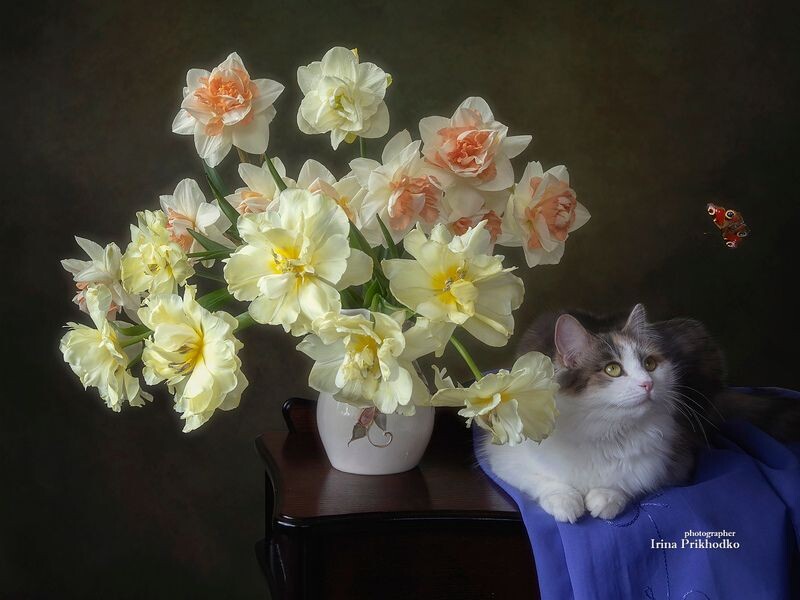 Картинка найдена на просторах интернета, ссылка https://yandex.ru/images/search?from=tabbar&img_url=https%3A%2Fi%2F.pinimg.com%2Foriginals%2Fa8%2F34%2Fа3f%2Fa83р43f81с2849b5e7bd53274cf0591a19.jpg&lr=47&pos=15&rpt=simage&text=%D1%86%D0%B2%D0%B5%D1%82%D1%8B%20%D0%BA%D1%80%D1%83%D0%BF%D0%BD%D0%BE%20%D1%84%D0%BE%D1%82%D0%BE