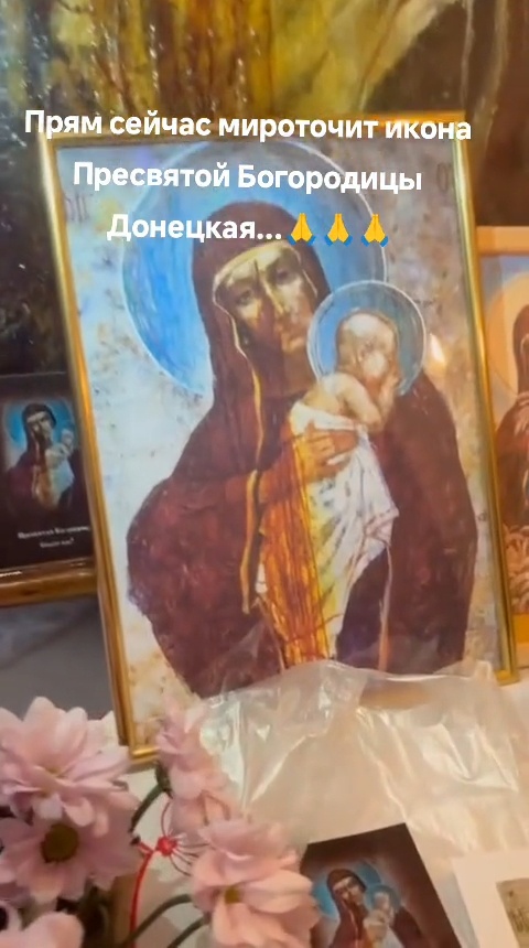 Мировоззрение Богородицы 