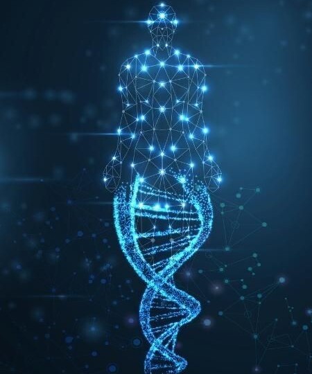 ДНК и бессмертие сознания: может ли информация быть живой